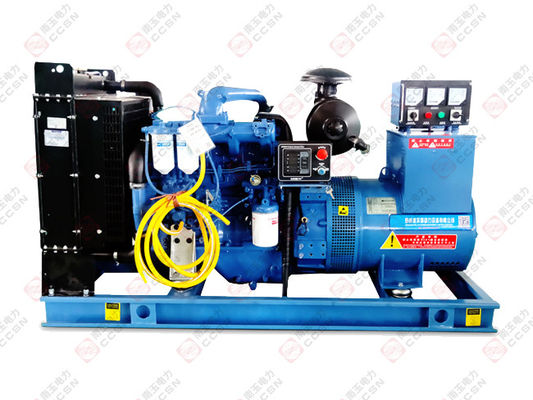 Motore diesel industriale a 2 cilindri 225g/KWh con portata di carico 108*115mm