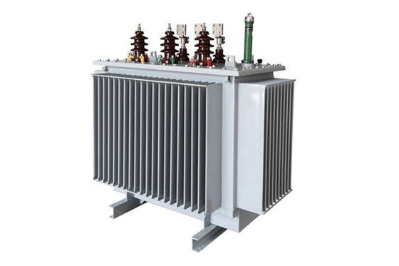 Trasformatore di distribuzione di tipo immerso in olio da IP00 a IP65
